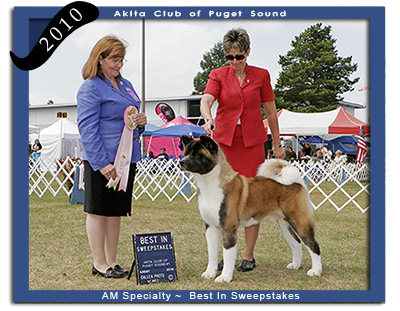 ACPS 2010 Best In Sweepstakes
